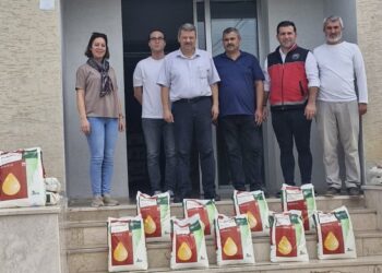 “Söğüt’te Marul Daha Bi İyi Projesi”