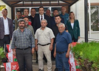 Yem Bitkisi Tohumu Dağıtıldı