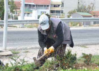 Yeşil Alanlarda Temizlik Çalışması